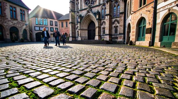 Découvrez les joyaux cachés du tourisme en Wallonie